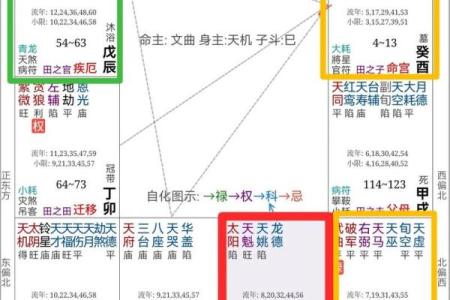 紫薇斗数父母宫看配偶家境