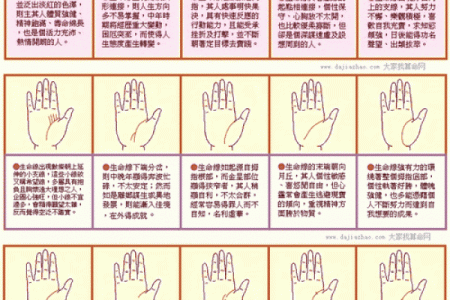 《手相学习百科》：生命线