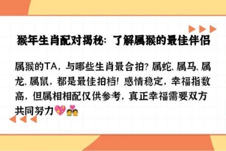属猴的女人和什么属相最配对 属猴的女人和什么属相最配婚姻