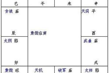 紫薇斗数舞曲