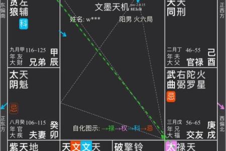 紫薇斗数飞禄