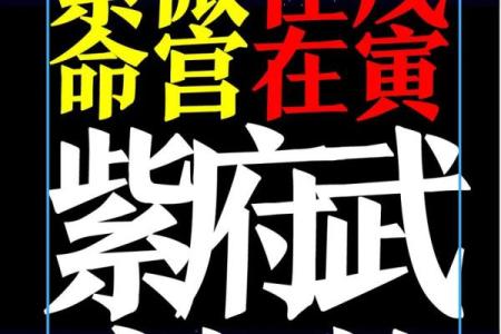 紫薇斗数没有紫薇