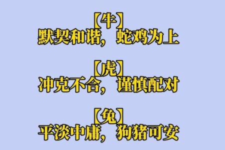 属鼠AB血型的人性格与事业姻缘