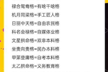 紫薇斗数格局大全