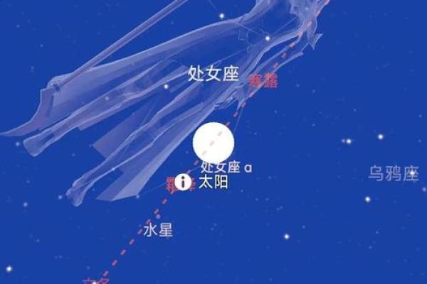 月亮星座与情人：探索月相对于爱情的神秘影响
