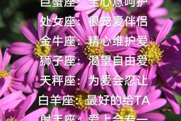 亲爱的别哭，十二星座安慰你