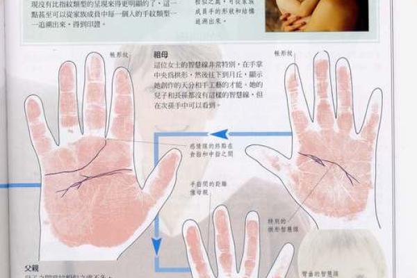 《手相学习百科》：指甲