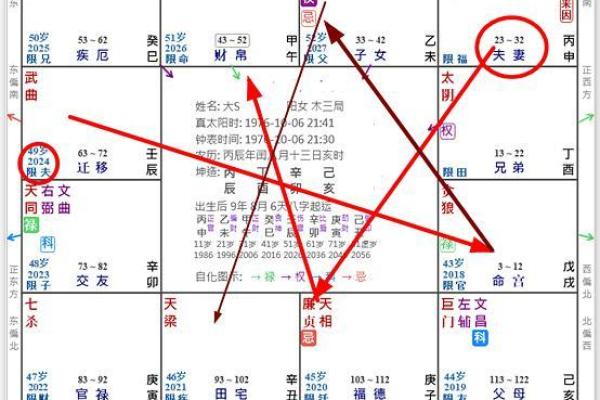短命紫薇斗数