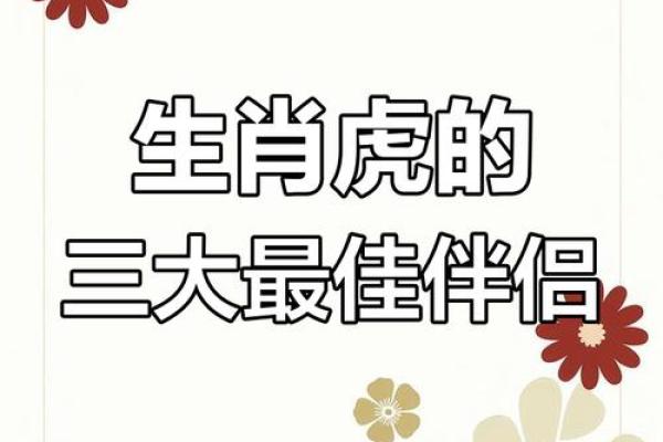 虎跟什么生肖配对最好 生肖虎最佳配对