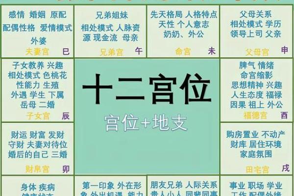 紫薇斗数大田宅