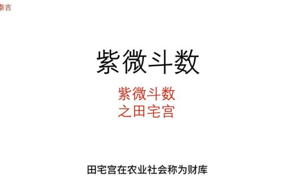 紫薇斗数大田宅