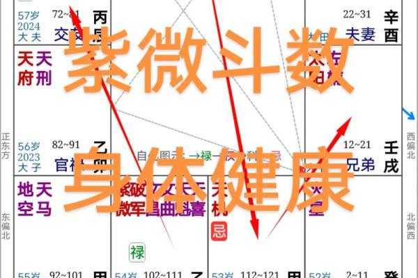 紫微斗数紫薇星在疾厄宫