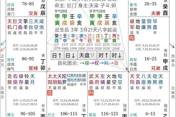紫薇斗数能看出什么