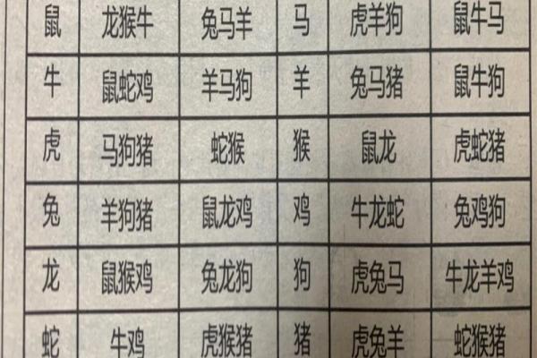十二肖和十二生肖配对,十二生肖最佳婚配表是怎样的？