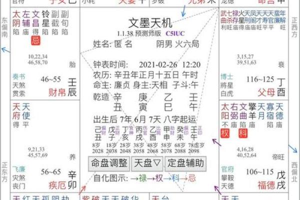 台湾紫微斗数小限派 紫微斗数小限排盘？