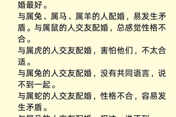 生肖配对：属鼠的和什么属相最配