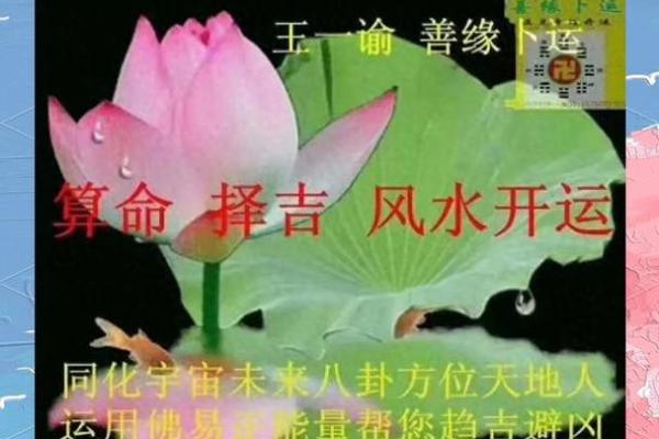 八字多重