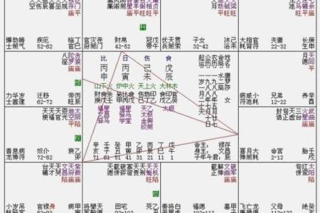 紫微斗数诸星落诸宫之：紫微星父母宫详解