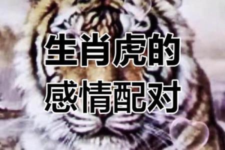 虎跟什么生肖配对最好 生肖虎最佳配对