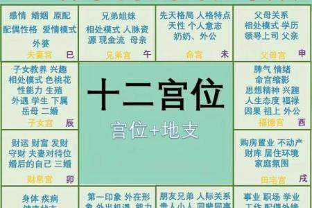 紫薇斗数大田宅