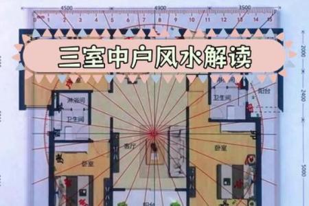 风水商铺什么朝向最旺财东向还是南向