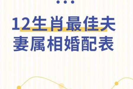 夫妻最好的属相配对