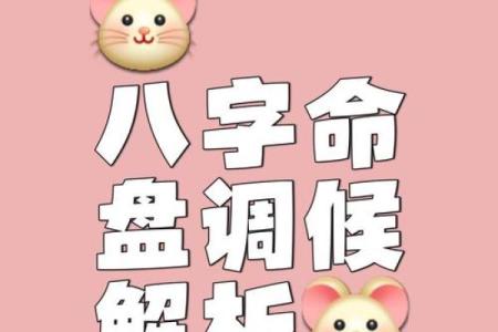 记住，八字命理可不是绝对的真理