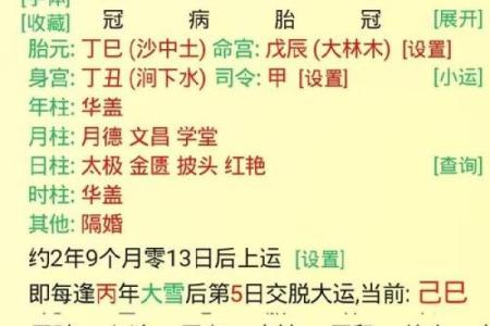 偏财格八字