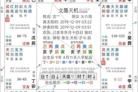 紫薇斗数能看出什么