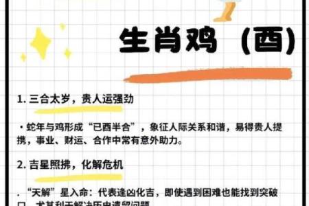 属鸡的狮子座血型分析