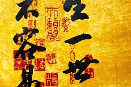 八字无根成不了大事
