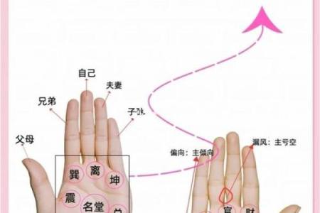 《手相学习百科》：手相重要辅线