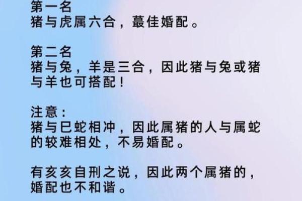 属猪男和什么属相配吗，属猪男和什么属相配对？