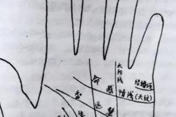 《手相学习百科》：手相看财运和好运