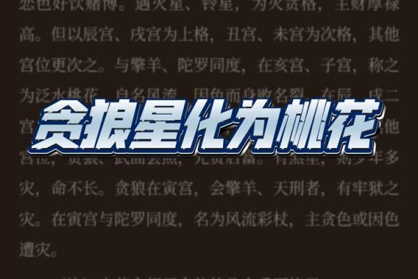 紫薇斗数贪狼化权