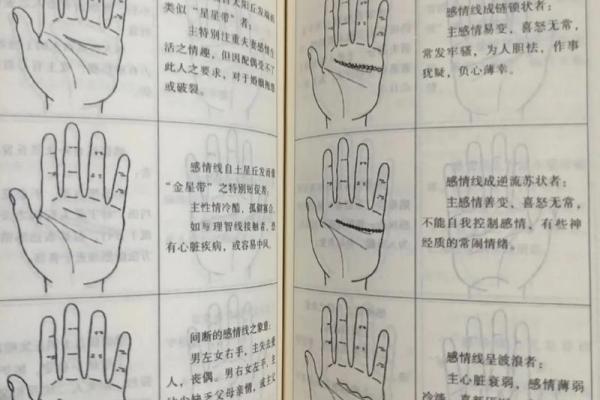 《手相学习百科》：手相看家庭与遗传