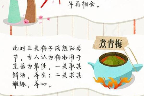 芒种节气的民俗活动 芒种节气小知识