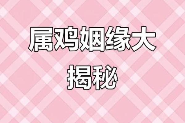 鸡跟什么生肖配对最好