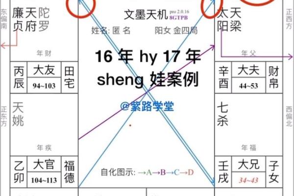 紫薇斗数怎么看流年