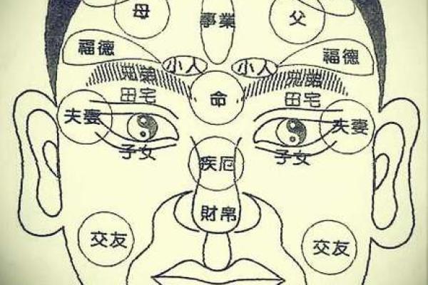 肩膀算命大全