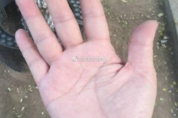车站算命的