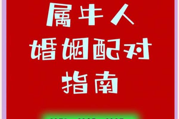 牛和牛相配婚姻如何 牛牛婚姻配对好不好