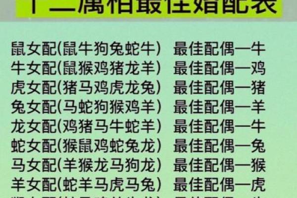 十二生肖的最佳婚姻配对