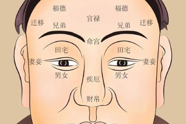 脸上长毛风水