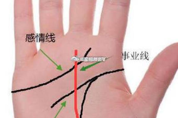 女人的事业线止于感情线命运如何风水