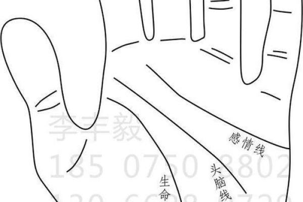 《手相学习百科》：手相看事业、职业
