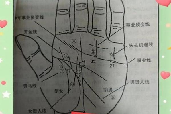 《手相学习百科》：手纹的成长与改变