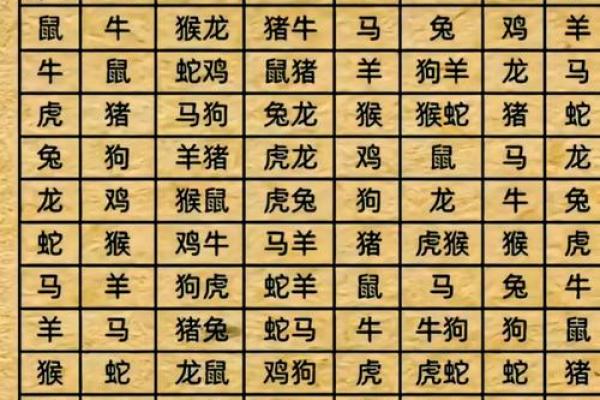 属虎和什么属相最配对 属虎和什么属相相冲