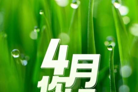 四月五号是什么节日