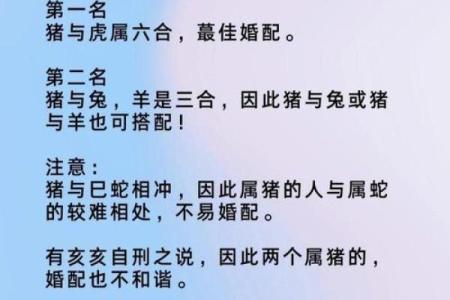 属猪男和什么属相配吗，属猪男和什么属相配对？